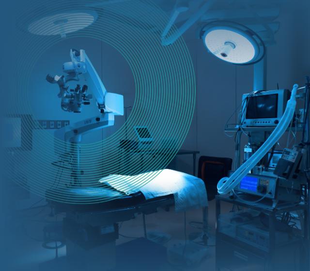 Capital Equipment Services