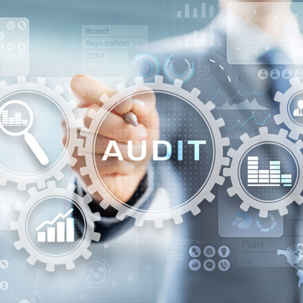 Auditing Framework to save time and money for public sector