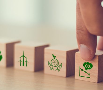 Decarbonisation of Estates