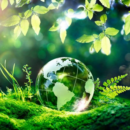 Greener Procurement, Healthier Planet: How Framework Agreements are Powering a Sustainable Future