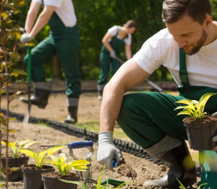 Grounds Maintenance and Associated Services
