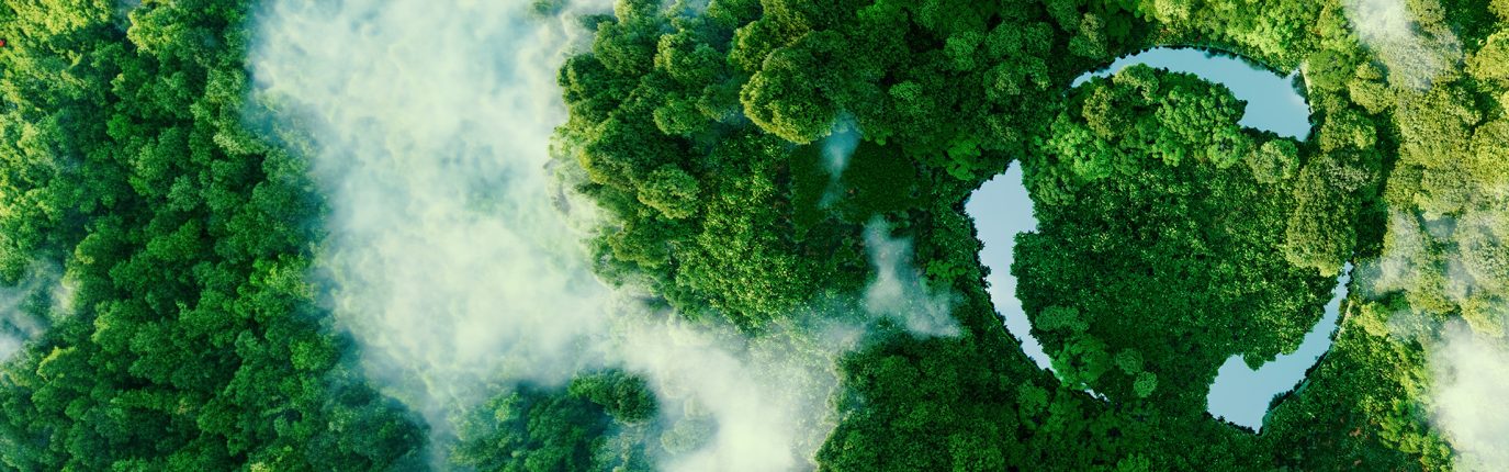 NHS SBS completes NHS Evergreen Sustainable Supplier Assessment