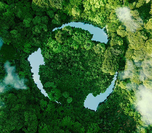 Carbon Mapping Specialist Services