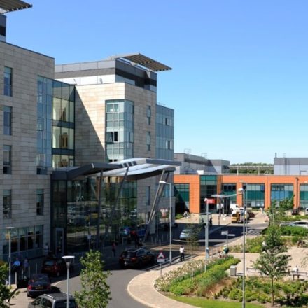 A modern finance and accounting service