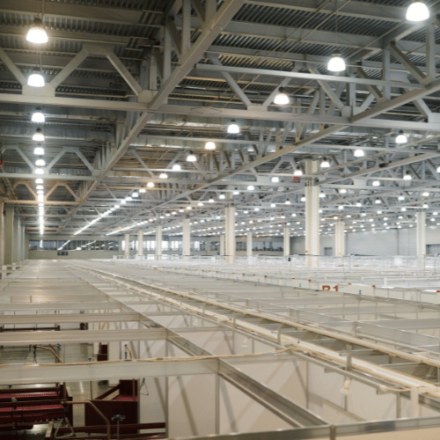 Convention Centre to Critical Care in two weeks