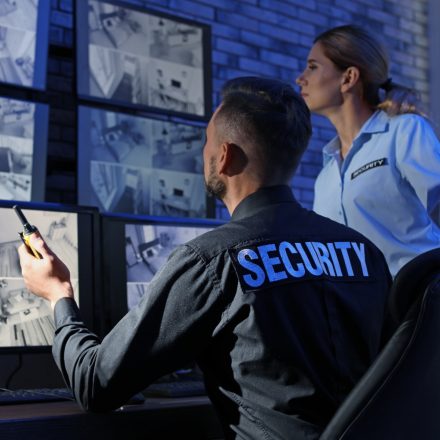 Security Services and Surveillance Solutions: Customer Pre-Market Engagement Webinar