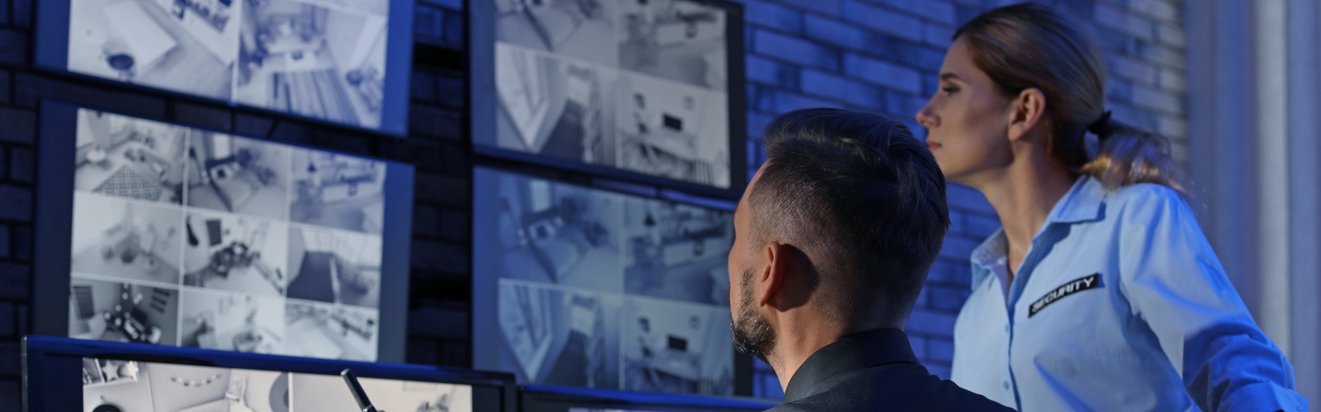  Security Services and Surveillance Solutions Customer Pre-Market Engagement Webinar