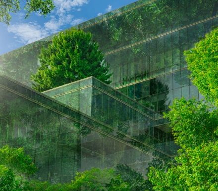 Sustainable Healthcare Recycling & Waste Management