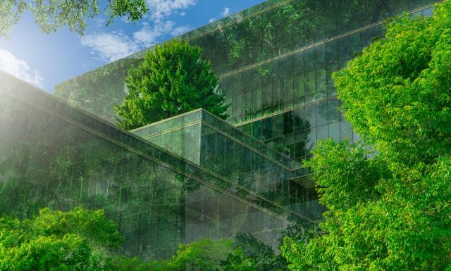 Sustainable Healthcare Recycling & Waste Management