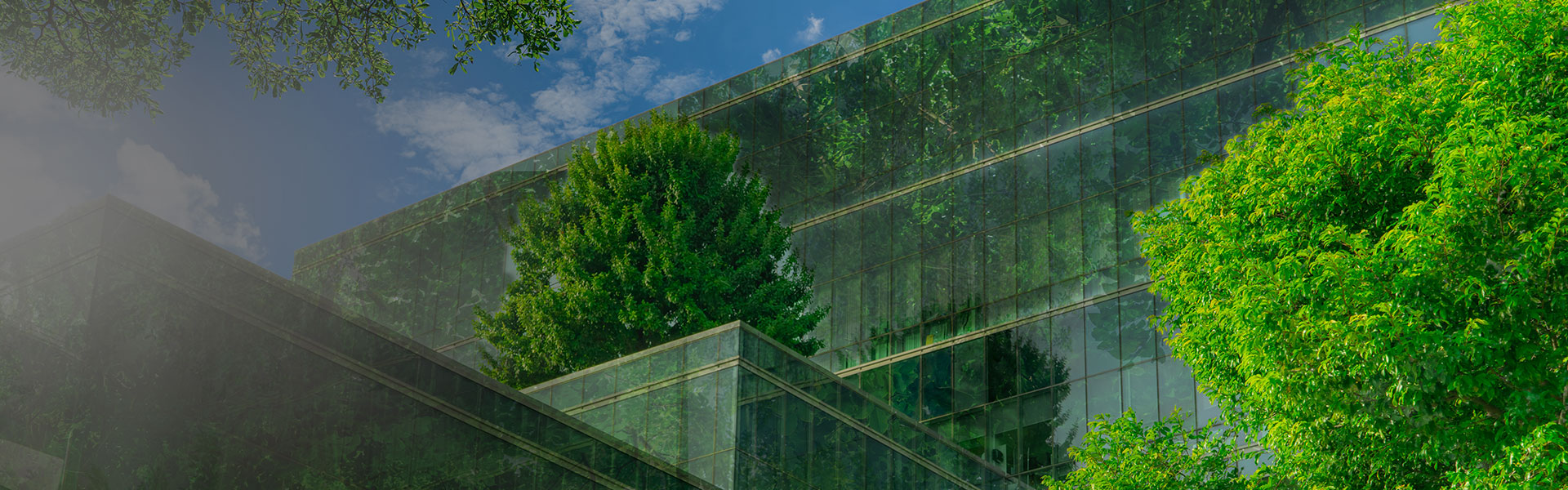 Sustainable Healthcare Recycling & Waste Management