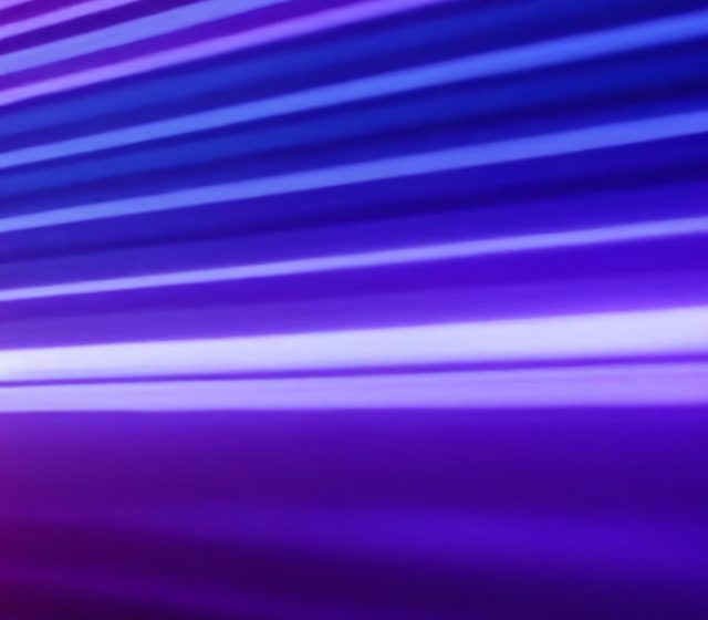 Employee Experience Development