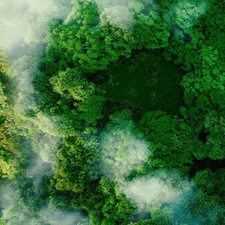 Mapping supply chain emissions at system-level