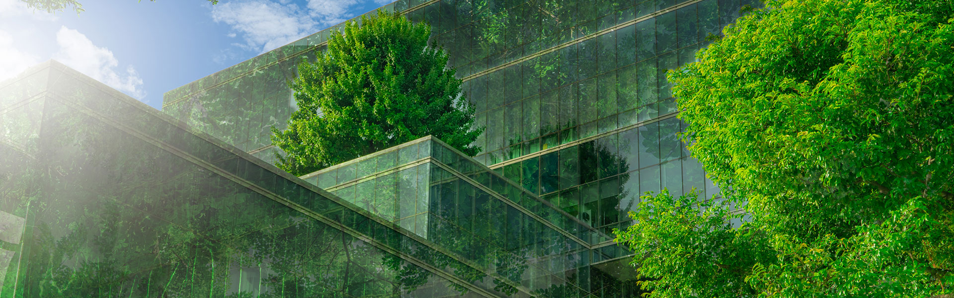 Glass Building surrounding by trees, showing reflection of trees in the glass. Procurement solution helps NHS achieve Net Zero.