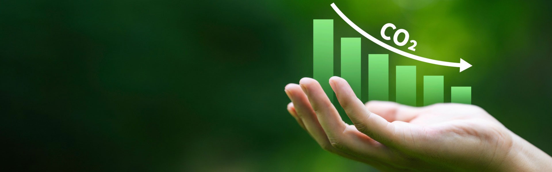 Decarbonise the wider public sector