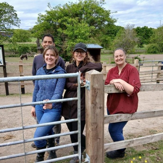 NHS SBS colleagues volunteering