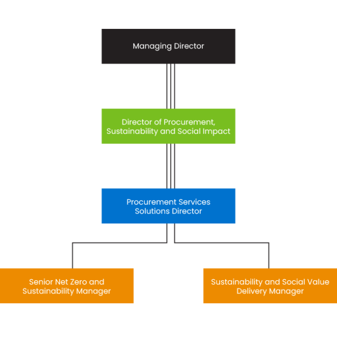 Team organisational chart