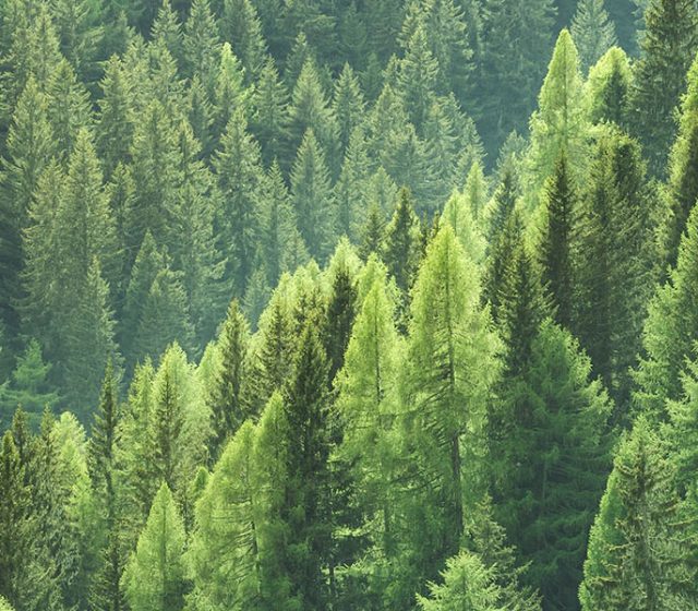 Sustainability
